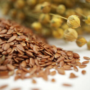 Pile of flax seeds and bunch of flax plants with blooms