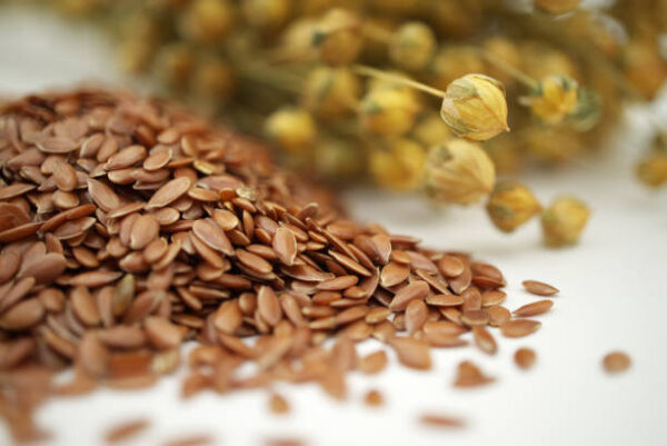 Pile of flax seeds and bunch of flax plants with blooms