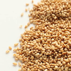 Isolated on white background with copy space