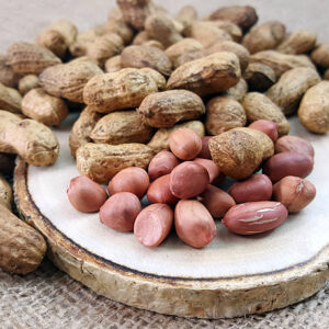 Istockphoto 598666472 612x612